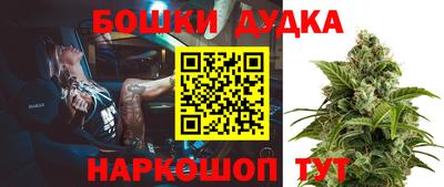 МДПВ Владимир