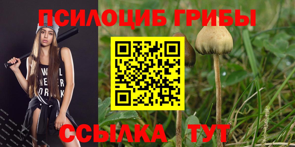 Псилоцибиновые грибы мухоморы  Вход с VPN  Белореченск 